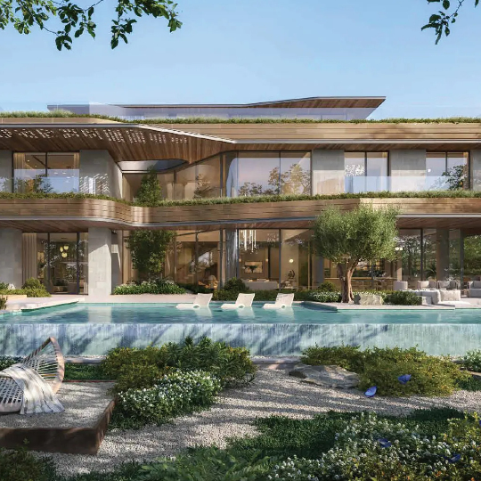 Moringa Mansions