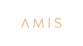 Amis Properties