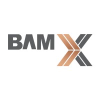 BAMX Properties